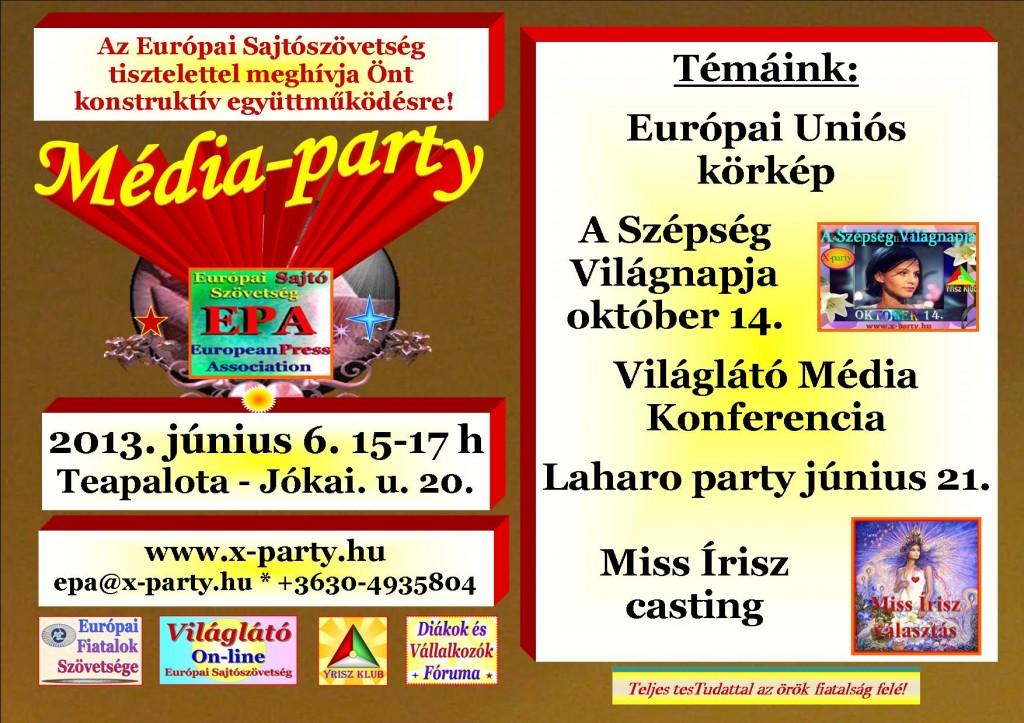 média-party-2013-06-06-a1