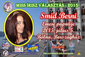 emeseparty-smidberni-2015