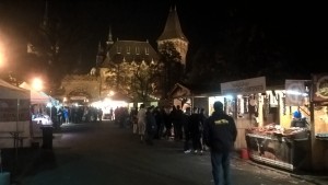 WP_20151113_19_23_11_Pro