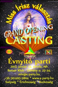 miv-casting-2013-01-23